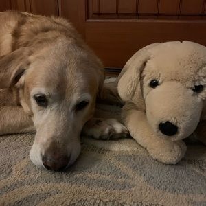 Meet your Posher, Brendan